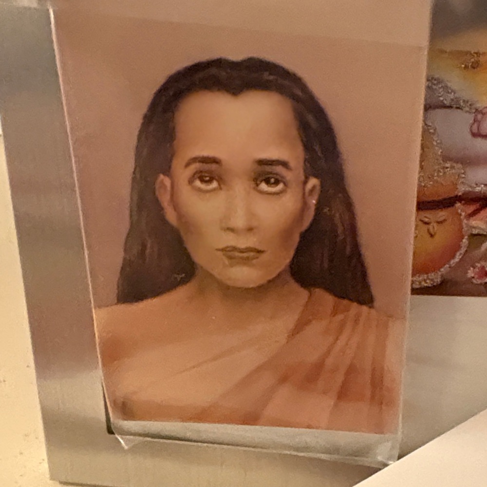 Spiritial Portrait Art of Babaji. with card clip included.